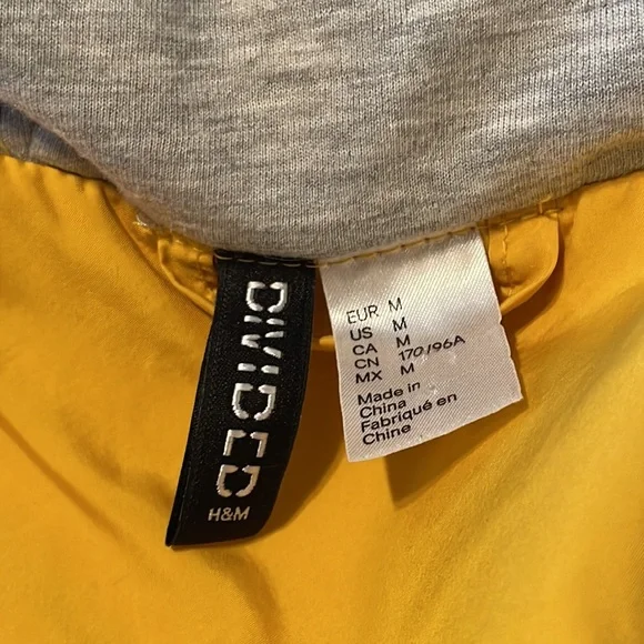 Divided Yellow Jacket - Picture 4 of 6